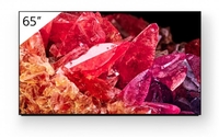 Sony Bravia FWD-65X95K Professional Display 164cm (65")