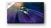 Sony Bravia MASTER FWD-55A90J Professional Display 139cm (55")