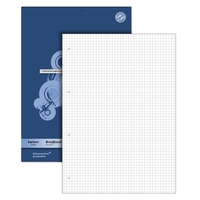 Staufen® Briefblöcke Staufen BriefblockA4 kar.100Bl DIN A4 kariert