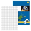 Staufen® Schulhefte 10 Staufen Hefte Lin22 A4 kar. kariert DIN A4 16