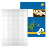 Staufen® Schulhefte 10 Staufen Hefte Lin.5 A5 kar. kariert DIN A5 16