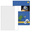 Staufen® Schulhefte 10Staufen Hefte Lin26 A4 karRD kariert DIN A4 16