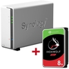 Synology DiskStation DS120J 1 Einschub NAS-Server Leergehäuse + 1x Seagate Ironwolf SATA 3.5" HDD 8TB Festplatte