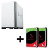 Synology DiskStation DS223J 2 Einschübe NAS-Server Leergehäuse + 2x Seagate Ironwolf SATA 3.5" HDD 4TB Festplatte