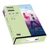 tecno Kopierpapier colors mittelgrün DIN A4 80 g/qm - 500 Blatt
