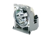 ViewSonic RLC-091 Projektorlampe für ViewSonic PJD6544w