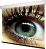 WS S NewMot Aufpro 4:3 400x300 cm,  BL Homevision 1.0 Gain