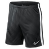 Academy 19 Short