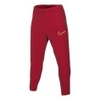 Academy 21 Pant KPZ