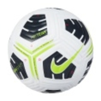 Academy Pro Team