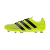 ACE 16.1 FG