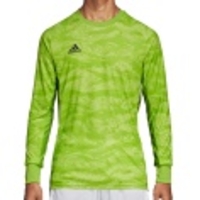 AdiPro 19 Goalkeeper Jersey Longsleeve