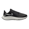 Air Zoom Pegasus 38 Shield Women