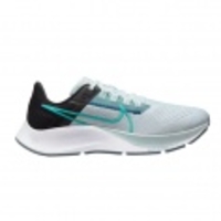 Air Zoom Pegasus 38 Women