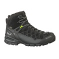 Alp Trainer Mid GTX
