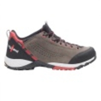 Alpha GTX