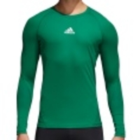Alphaskin Sport LS Tee
