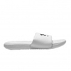 Ansa Fixed Slides
