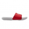 Ansa Fixed Slides