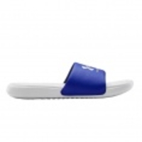 Ansa Fixed Slides