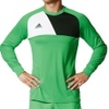 Assita 17 Goalkeeper Jersey