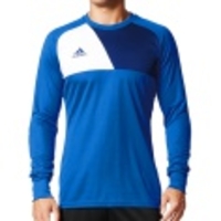Assita 17 Goalkeeper Jersey