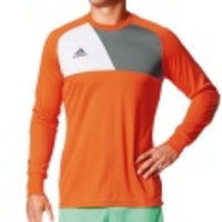 Assita 17 Goalkeeper Jersey
