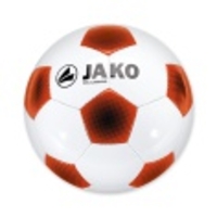 Ball Goal Classico MS