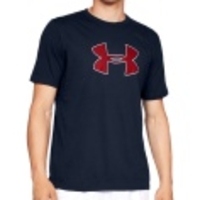 Big Logo SS Tee