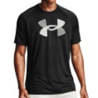 Big Logo Tee