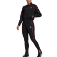 Bomber Jacket and Tights Track Suit Women