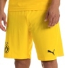 BVB Replica Shorts mit Innerslip