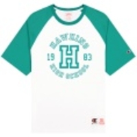 Champion x Stranger Things Hawkins Raglan Crewneck T-Shirt