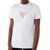 Chicago Bulls Chain Stitch Tee