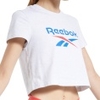 Classics Vector Big Logo Crop Tee Women