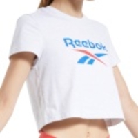 Classics Vector Big Logo Crop Tee Women