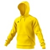 Core 18 Hoody