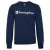 Crewneck Logo Fleece Sweatshirt