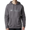 CSC Basic Logo II Hoodie