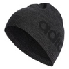 Daily Beanie Lightweight