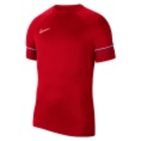 Dri-FIT Academy 21 SS Top