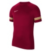 Dri-FIT Academy 21 SS Top