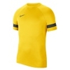 Dri-FIT Academy 21 SS Top