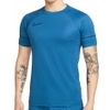 Dri-FIT Academy 21 SS Top
