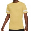 Dri-FIT Academy 21 SS Top
