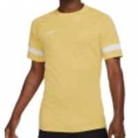 Dri-FIT Academy 21 SS Top