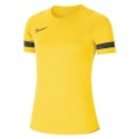 Dri-FIT Academy 21 SS Top Women