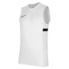 Dri-FIT Academy 21 Tank