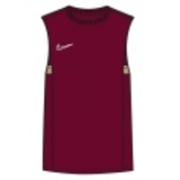Dri-FIT Academy 21 Tank