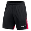 Dri-FIT Academy Pro Shorts